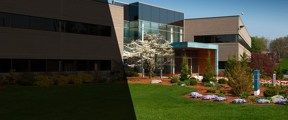 Enfield Landscapers