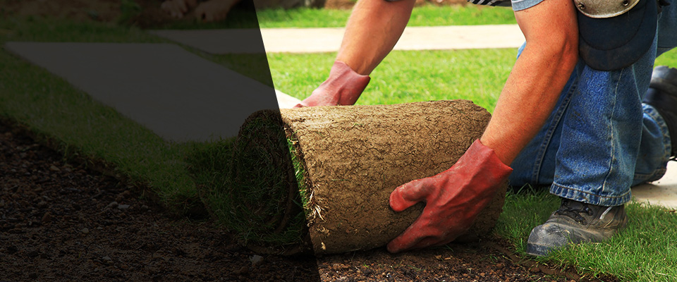 Enfield Landscapers